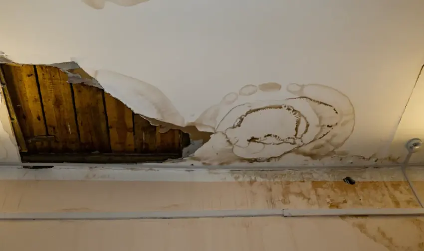 5 Defences Against Moisture Damage in Maple Ridge Offices